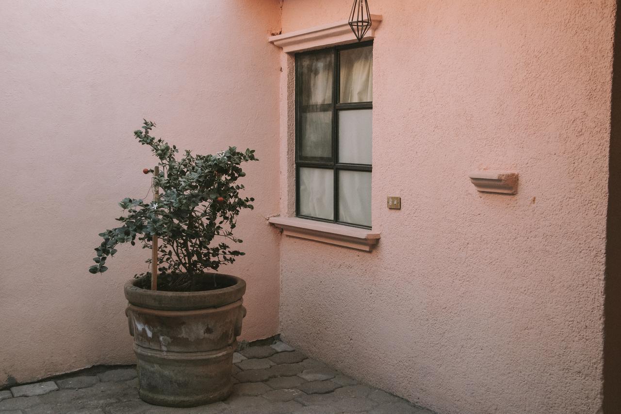 Casa Los Naranjos サン・ミゲル・デ・アジェンデ エクステリア 写真