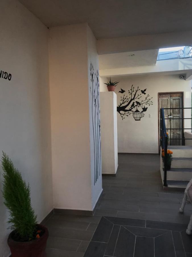 Casa Los Naranjos サン・ミゲル・デ・アジェンデ エクステリア 写真