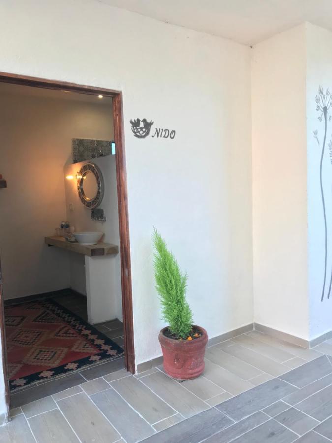 Casa Los Naranjos サン・ミゲル・デ・アジェンデ エクステリア 写真